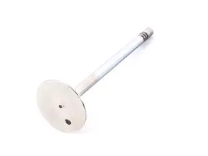 Intake Valve - Priced Each