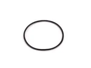Intake Regulating Flap Gasket