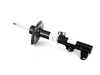 ES#49830 - 31311095060 - Front Right Spring Strut - Genuine BMW - BMW