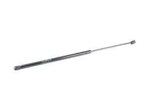 Gas Strut
