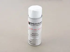 Touch Up Spray Paint 