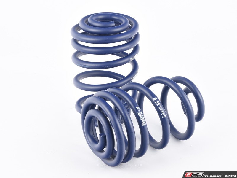 505 Spring Small H&R - 50410-55 - OE Sport Springs - Set