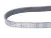 ES#2800670 - 29936796 - Multi-Rib Accessory Belt / Serpentine Belt - Replaces your cracked or worn belt. 6PK2528 - Continental - Mercedes Benz