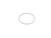 ES#2727577 - 11717794785 - O-RING - Genuine BMW - BMW