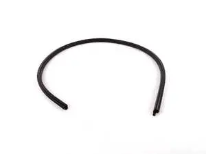 Front left door seal