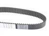 ES#3962 - 06C109119C - Timing Belt - Toothed belt replacement - Continental - Audi