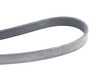 ES#2635521 - 11281437929 - Accessory Belt - Drives the alternator, water pump, and power steering pump - Continental - BMW