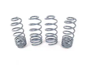 OE Sport Spring Set