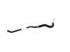 ES#2797786 - 17222358290 - ENGINE OIL COOLER PIPE, FLOW - Genuine BMW - BMW
