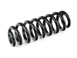 Rear Sport Spring  