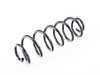 ES#3970363 - 1J0511115AM - Rear Coil Spring - Priced Each - Paint Marks: 1 Silver, 3 Green - Meyle - Volkswagen