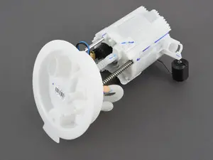 Low Pressure Fuel Filter/Pump Assembly