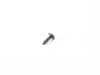 ES#2675268 - 07147137416 - FILLISTER HEAD SELF-TAPPING - Genuine MINI - 