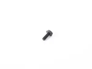 OVAL HEAD SCREW WITH