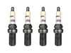 ES#4030525 - er10gs-4KT - Brisk Extra Turbo Racing ER10GS Spark Plugs - Set Of Four - Featuring silver fine wire center electrode - Superior ignition ability increases engine power! - Brisk - Audi Volkswagen