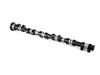 ES#22389 - 11317833225 - Camshaft Exhaust - Genuine BMW - BMW
