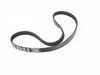 ES#3628559 - 06B260849B - Accessory Belt - A/C Compressor - (NO LONGER AVAILABLE) - Replace your cracked or worn belt - Genuine Volkswagen Audi - 