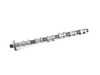 ES#22390 - 11317833596 - E46 Exhaust Camshaft - Prevent timing failure by replacing your worn out camshaft - Genuine BMW - BMW