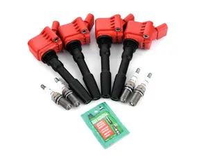 Performance Ignition Service Kit
