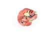 ES#3022403 - 91160292800 - Distributor Rotor - Ignition rotor - Beru - Porsche