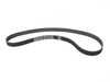 ES#2800549 - 068109119E - Timing Belt - Premium ContiTech Synchrobelt - Continental - Volkswagen