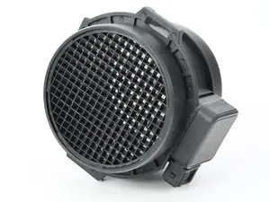 Mass Air Flow Sensor (MAF)