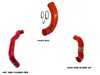 ES#4039990 - 56-314302 - N14 Intake, Hot Side & Cold Side Hose Kit | Red - The three main intake hoes in the engine bay all upgraded to silicone in matching colors. - M7 Speed - MINI