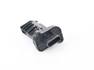 Mass Air Flow Sensor (MAF)