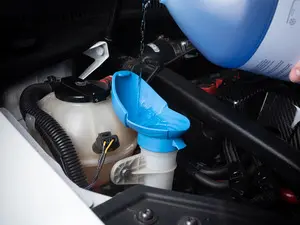 Washer Fluid Reservoir Cap - Funnel Style