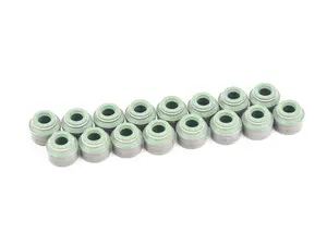 Valve Stem Seal Repair Kit - Set Of 16