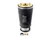 ES#3985124 - 37121095082 - E39 Rear Air Spring - Right - Torn bags will not simply repair themselves! - Arnott - BMW