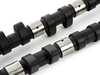 ES#3025663 - TMS136 - BMW S38 6 Cyl. 280-Degree - Camshaft - Aggressive Street and Track Camshaft Setup - Schrick - BMW
