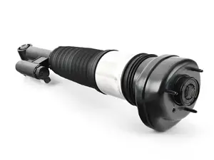 AIR SPRING STRUT, REAR RIGHT