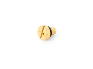 Brass Coolant Bleeder Screw - Priced Each