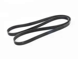 Serpentine Belt 