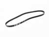 ES#3234905 - 079903137E - Belt - 5K X 1105 Contitech - Gates - Audi