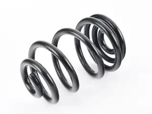 Stock Replacement E46 M3 Rear Spring - Coupe - Single