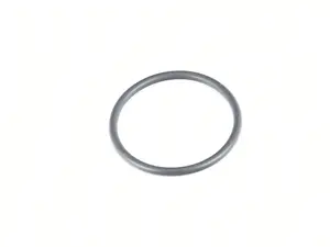 Thermostat O-ring