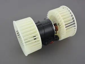 Blower Motor