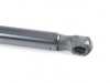ES#2871125 - 3B0823359A - Gas Spring for bonnet - Febi - Volkswagen