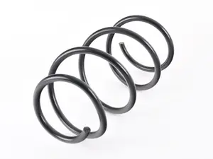 E46 Front Coil Spring