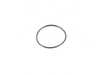 ES#4044564 - 3556 - O-Ring for Tilton Master Cylinder Neck - Tilton - BMW