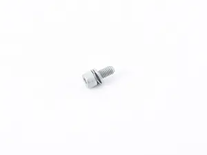 ADJUSTING SCREW