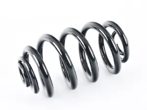 B3 Front Coil Spring - Priced Each