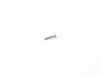 ES#2217426 - 11517593459 - OVAL HEAD SCREW - Genuine BMW - BMW
