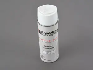 Touch Up Paint - 12 Oz Spray Can 