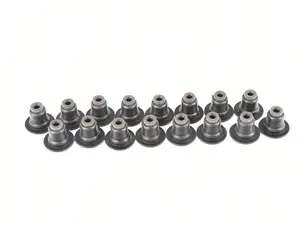 Valve Stem Seal Kit - Set Of 16 747.210