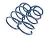 ES#3148945 - D100-0925 - Performance Spring Set - Civilized performance for the discerning enthusiast - Dinan - BMW