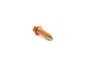 ES#467121 - N0438851 - Panel Screw - 4.8x19mm - Genuine Volkswagen Audi - Volkswagen