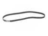 ES#4069357 - 6K1145 - A/C Belt  - Replace cracked, dried out belts for noise-free operation - Continental - Volkswagen